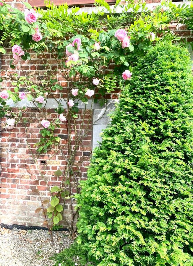 La Tour D'Heloise - 10' De Bruxelles Bed & Breakfast Ла Юлп Екстериор снимка